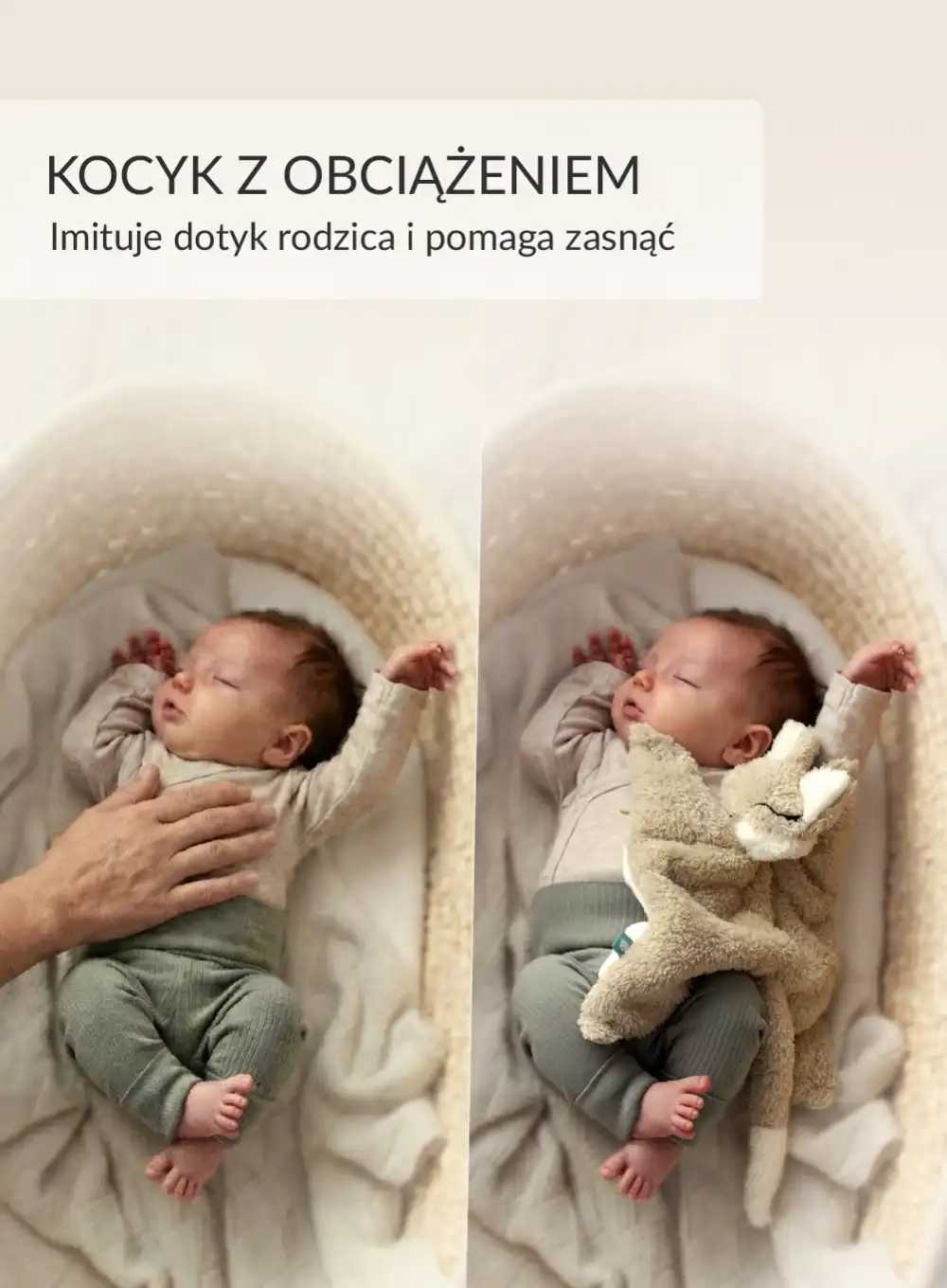 Ciepluś® Miś – Termofor Obciążeniowy z Naturalnym Ziarnem