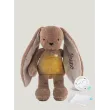 <bdi>Szumisie - szumiący królik 5w1 Duo - brąz</bdi>