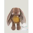 <bdi>Szumisie - szumiący królik 5w1 Duo - brąz</bdi>